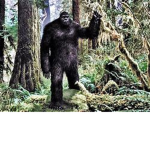 The BigFoot group of 2021