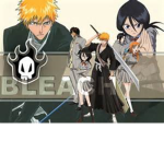 Bleach Fan's!