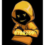 Skys Community