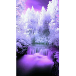 AestheticTypes