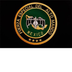 SFB | Special Forces Brigades