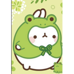 - FROGGY GROUP-