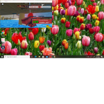 FORNITE GOOD