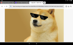 Doges!!!!!!!!!!