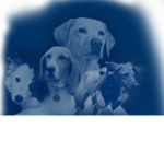 Roblox Dog Lovers
