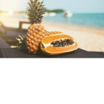 xxLazy Pineapples Squadxx