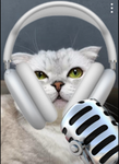 the CATS GAMERS.
