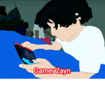 Gamer-Zayn’s Group!