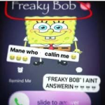 Freakybobb