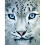 SnowClan Warriors Group