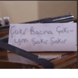 Geri Geliyor