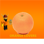 Orange Inc.
