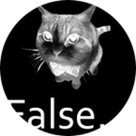 False...