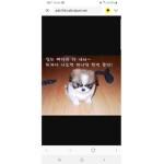 오세요 ㅜㅜ