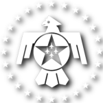 PTFSTB || PTFS Thunderbirds
