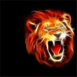 Ultimate Lions