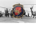 L X X I I Airborne Division, 3rd Company