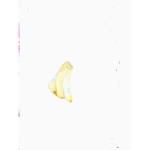 Banana Kingdom.