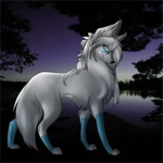 ~ The Night Wolves ~