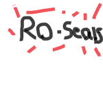 RO-seals team