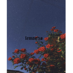 lemonxo