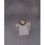 El rey de las sombras