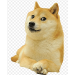 I wAnT a DoG