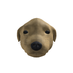 Staring Dog