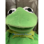 Crazy Kermit’s group