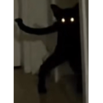 Menace bois