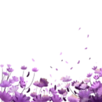 Aster Game Shows