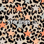 starlings !