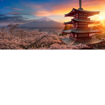 If the untamed was filmed in japan