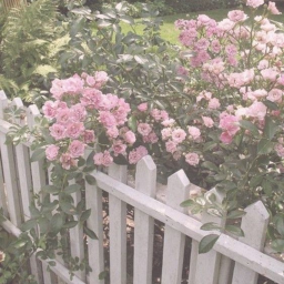 ♡