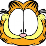 Garfield International