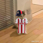 Chivas107