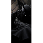 Batman ~ fan~ group