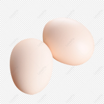 Eggz Forever!