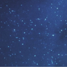 🌌