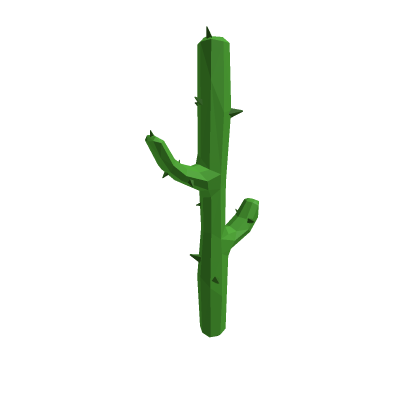 TTD 3 - Cactus