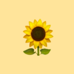 Yellow Addi Group Thumbnail