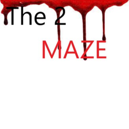 The 2 Maze