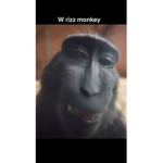 ur mama jokes