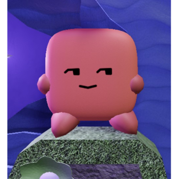 Why?