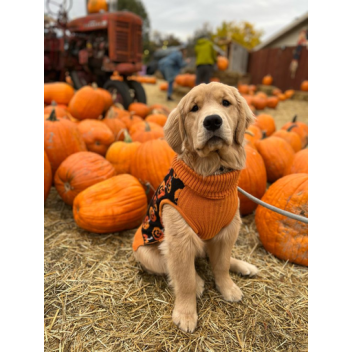 ˚୨୧⋆｡˚ ⋆