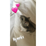 Norman’s Nuts