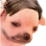 Bnanowe_zjeby