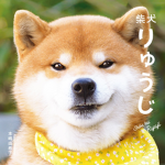 Shiba inu squad unu
