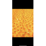 Duckie armyyy