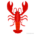 Lobster Clan for Pros